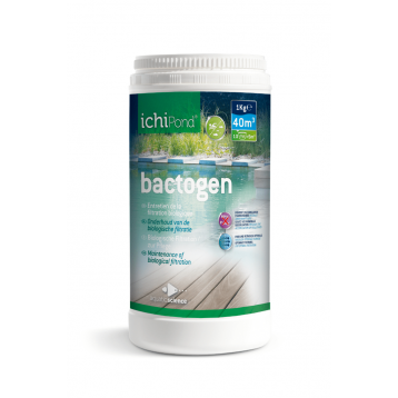 Bactogen 40 000 / 40 m3 Bactérias e Anti-limo